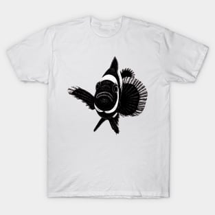 Black ocellaris clownfish illustration T-Shirt